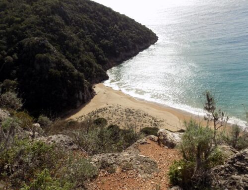Kantouni Beach
