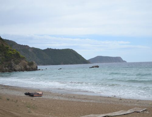 Tsapi beach